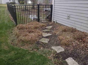 Bush Trimming by Daniel Bunch for Michael T. in Powell, OH