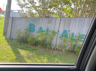 Bush Trimming by Shaun Gaston for Debbie L. in Gulf Breeze, FL