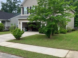 Claudette W.'s Lawn Mowing service result
