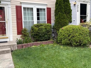 Bush Trimming by David Alexander for Katie W. in Frederick, MD