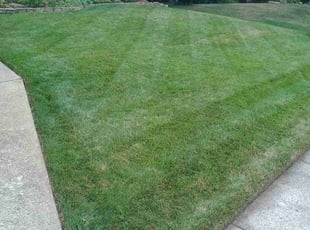 Steve V.'s Lawn Service service result