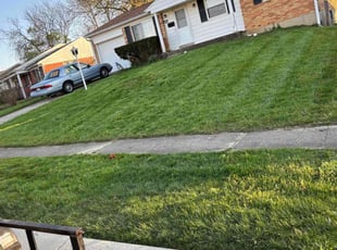 Brandon B.'s Lawn Mowing service result