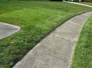 Vickie M.'s Lawn Care service result