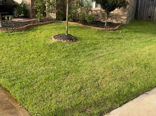 Kim B.'s Lawn Care service result