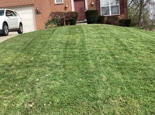Ruby M.'s Lawn Mowing service result