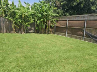 Michael S.'s Lawn Service service result