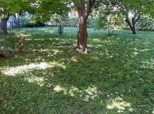 Cleanups by Kyle Yacko for Michael & Pamela S. in Warren, MI