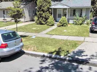 Leaf Removal by Hasus Wallace for Thomas V. in Ferndale, MI