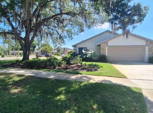 LuAnn P.'s Lawn Service service result