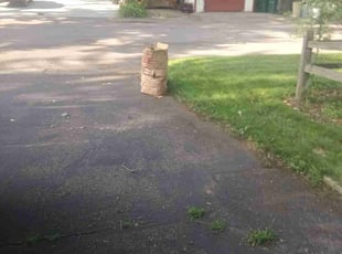 Leaf Removal by Julie Fisk for Kelly M. in Minneapolis, MN