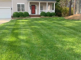 Jean S.'s Lawn Mowing service result