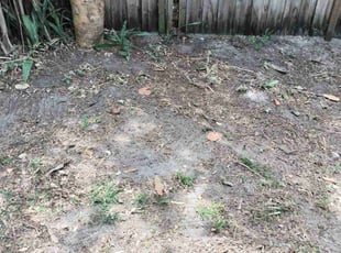 Cleanups by Michael Smith for Donna H. in Pompano Beach, FL