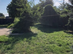Bush Trimming by Dave Ehrenberg for Wendy G. in Columbus, OH