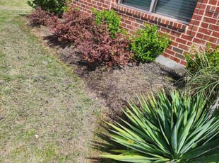 Weeding by Euless Skinner for Vivian N. in Midlothian, TX