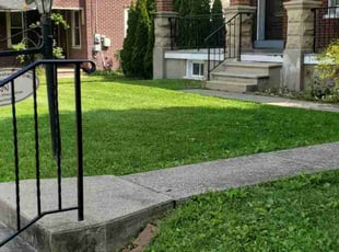 Michael M.'s Lawn Care service result