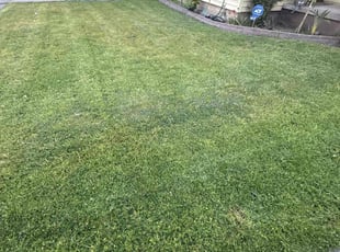 Christina C.'s Lawn Care service result
