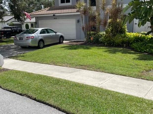 Donna H.'s Lawn Mowing service result
