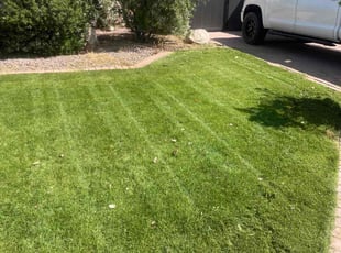 James C.'s Lawn Service service result