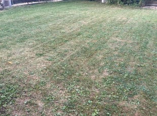 Ken D.'s Lawn Mowing Service service result