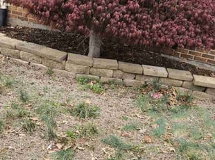 Weeding by Rosemary Valle for Latesha C. in Manassas, VA