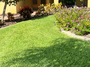 Jack B.'s Lawn Mowing service result
