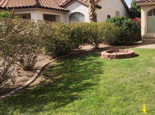 Bush Trimming by Tripler Dela Cruz for Rob F. in Chandler, AZ