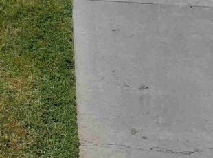 Christine S.'s Lawn Care service result