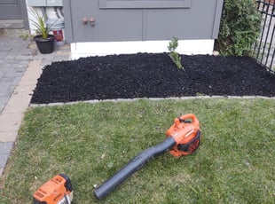 Mulching by Allan Roberts for Nick A. in Washington, DC