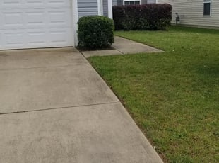 Bush Trimming by James Steele for Pandoria B. in Monroe, NC