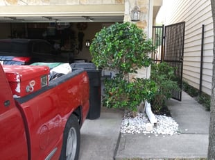 Bush Trimming by Arnold Martin for Jennifer G. in Houston, TX