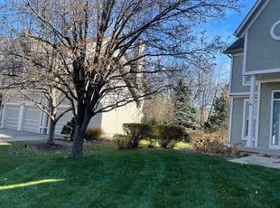Leaf Removal by Scott Culala for Morgan M. in Olathe, KS