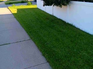 Shashank G.'s Lawn Care service result