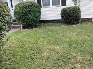 Bush Trimming by Tyreek Leacock for Shamika M. in Norfolk, VA