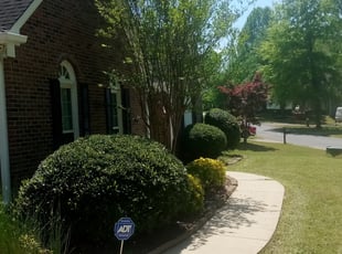 Bush Trimming by James Johnson for Casey L. in Kennesaw, GA