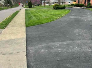 Mark L.'s Yard Cutting service result