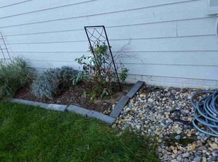 Weeding by Tim Birch for Megan B. in Papillion, NE