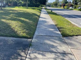 Michael W.'s Lawn Service service result