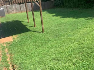 Sophia D.'s Yard Cutting service result