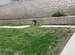 Deborah M.'s Flower Bed Weeding service result
