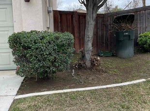 Bush Trimming by Samuel Benavides for Ben M. in San Jacinto, CA