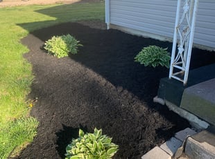 Weeding by Andrew Carpenter for William S. in Columbus, OH