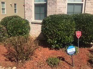 Bush Trimming by Michael Long for Babar J. in Cumming, GA