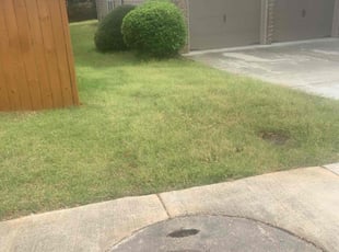 Roxanne B.'s Grass Cutting service result