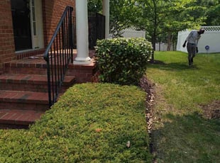Bush Trimming by Steveland Harris for Berthie L. in Upper Marlboro, MD
