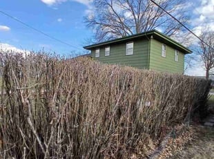Bush Trimming by Noe Lara for Jessica J. in Omaha, NE