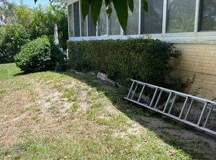 Bush Trimming by Charles Walton for Julia L. in Lake Worth, FL