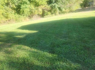 Karen B.'s Lawn Mowing Service service result