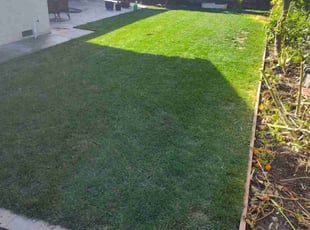 Jeremy C.'s Lawn Care service result