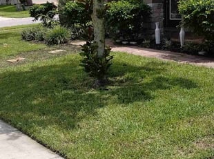 Kendall J.'s Lawn Care service result