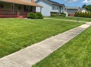 Khristina B.'s Lawn Care service result